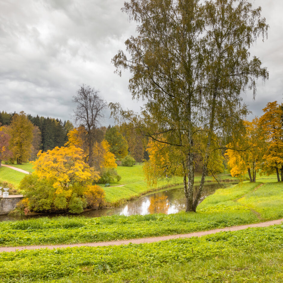 ainava ar kokiem un upi rudenī